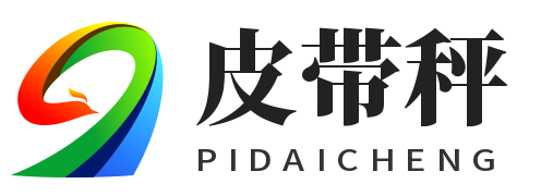 皮带秤logo
